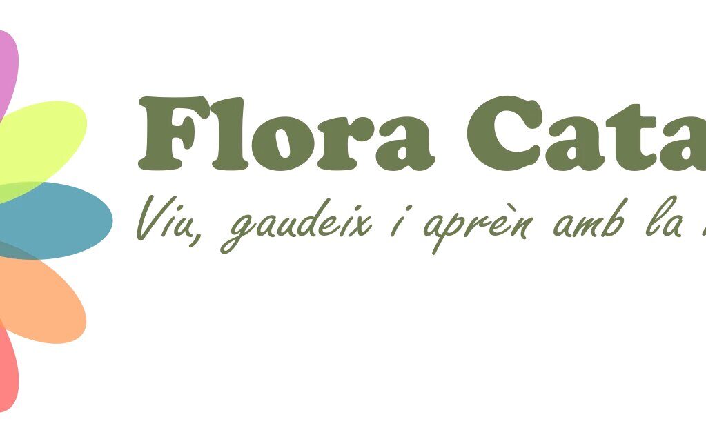 flora-cat_color