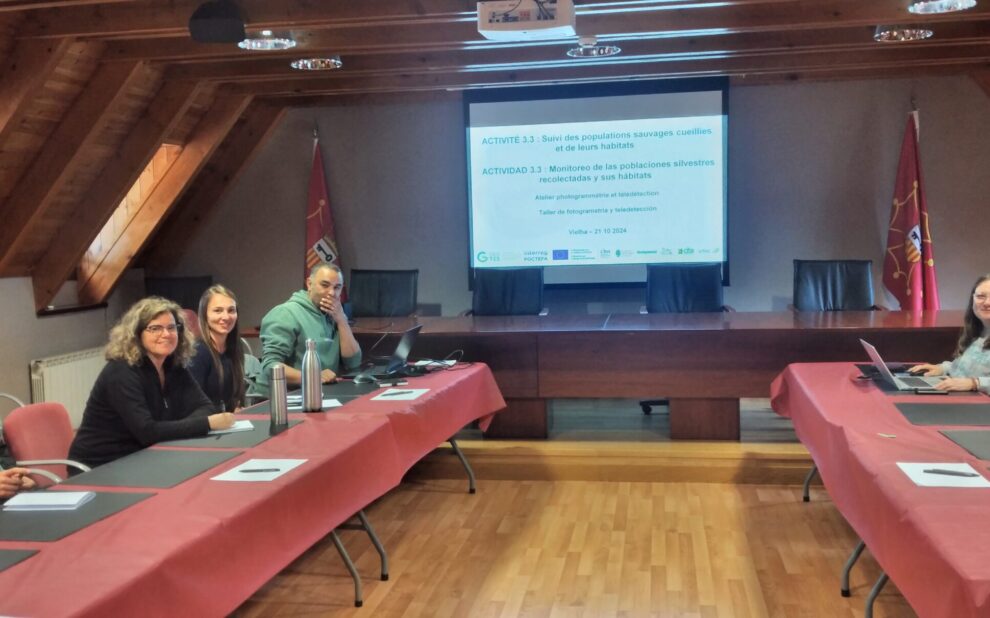 El equipo de drones y teledetección del proyecto GESTES se reúne en Viella (Lérida) para poner en común experiencias y resultados