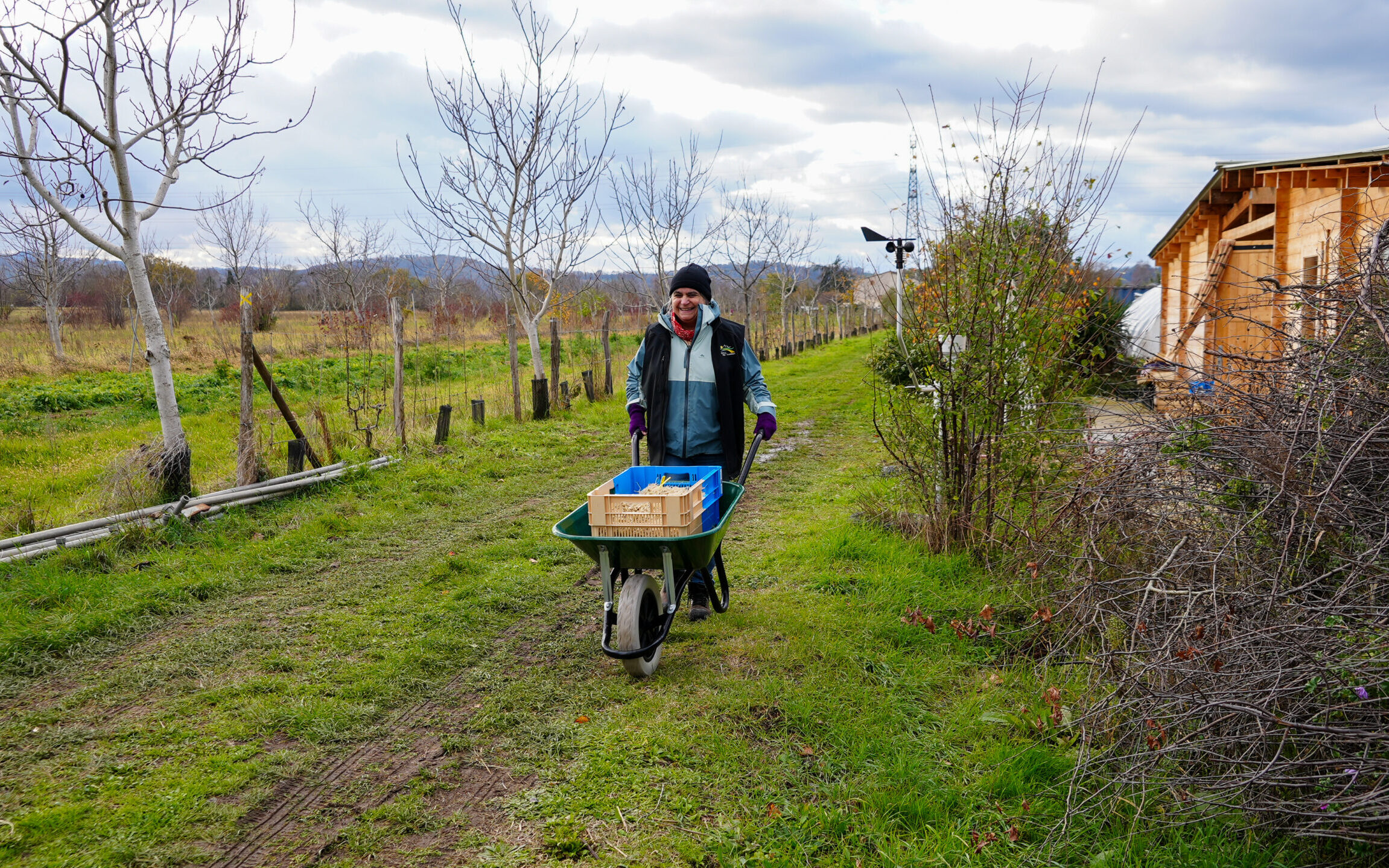 Recol·lecció de plantes de valeriana al CFPPA Ariège-Comminges